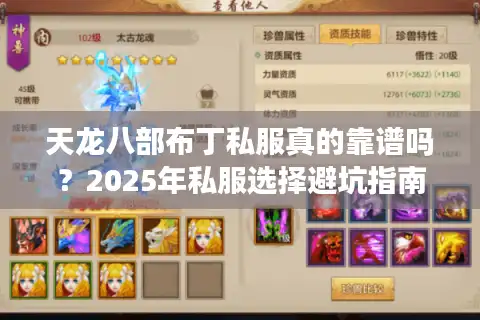 天龙八部布丁私服真的靠谱吗？2025年私服选择避坑指南