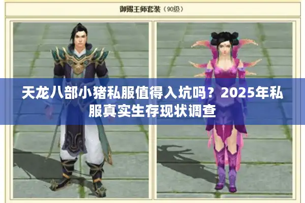天龙八部小猪私服值得入坑吗？2025年私服真实生存现状调查