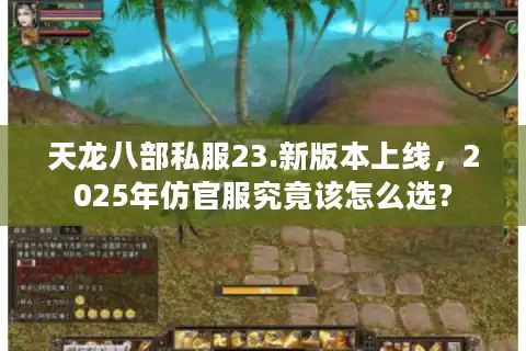 天龙八部私服23.新版本上线，2025年仿官服究竟该怎么选？