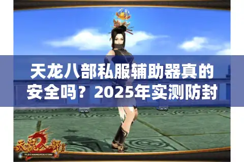 天龙八部私服辅助器真的安全吗？2025年实测防封号攻略