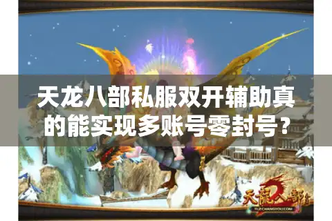 天龙八部私服双开辅助真的能实现多账号零封号？2025实测报告揭秘