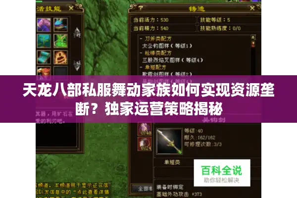 天龙八部私服舞动家族如何实现资源垄断？独家运营策略揭秘
