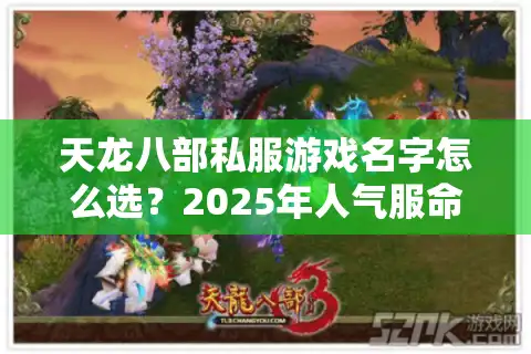 天龙八部私服游戏名字怎么选？2025年人气服命名规律大揭秘