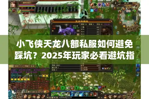 小飞侠天龙八部私服如何避免踩坑？2025年玩家必看避坑指南
