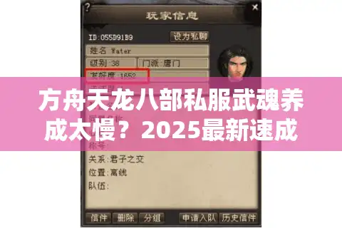 方舟天龙八部私服武魂养成太慢？2025最新速成攻略大揭秘