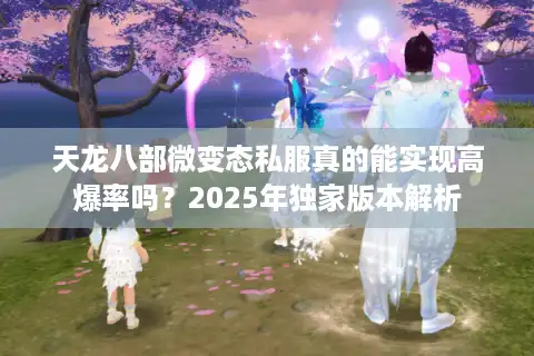 天龙八部微变态私服真的能实现高爆率吗？2025年独家版本解析