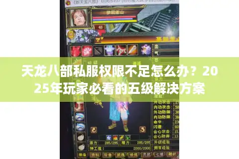 天龙八部私服权限不足怎么办？2025年玩家必看的五级解决方案