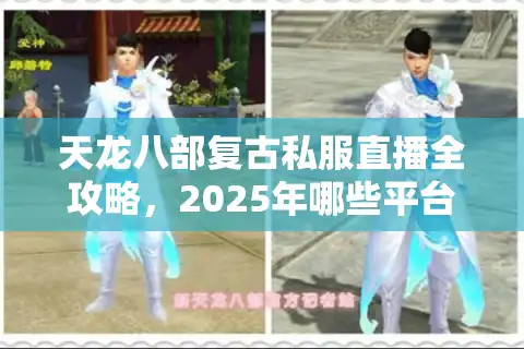 天龙八部复古私服直播全攻略，2025年哪些平台能玩到原汁原味怀旧服？