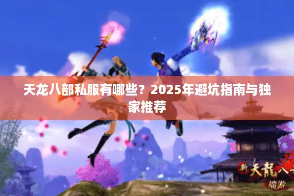 天龙八部私服有哪些？2025年避坑指南与独家推荐