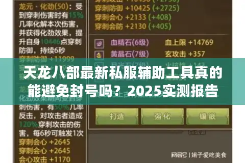 天龙八部最新私服辅助工具真的能避免封号吗？2025实测报告