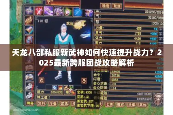 天龙八部私服新武神如何快速提升战力？2025最新跨服团战攻略解析