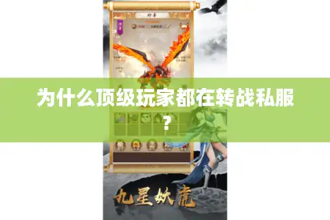 为什么顶级玩家都在转战私服？