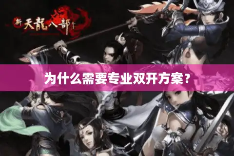 为什么需要专业双开方案？