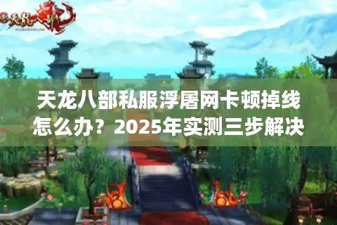 天龙八部私服浮屠网卡顿掉线怎么办？2025年实测三步解决教程