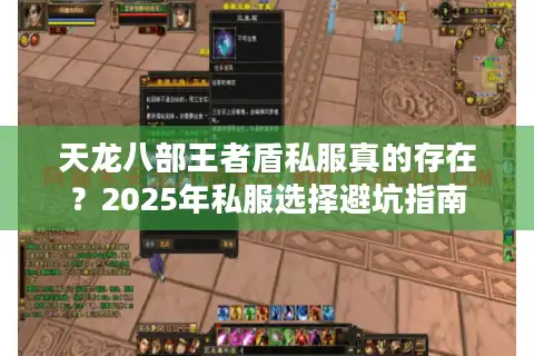 天龙八部王者盾私服真的存在？2025年私服选择避坑指南