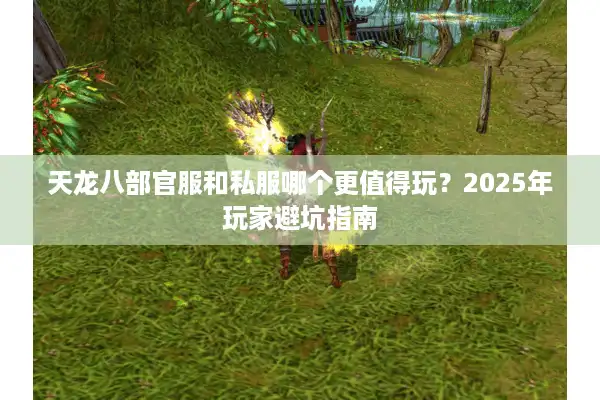 天龙八部官服和私服哪个更值得玩？2025年玩家避坑指南