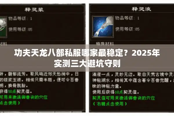 功夫天龙八部私服哪家最稳定？2025年实测三大避坑守则