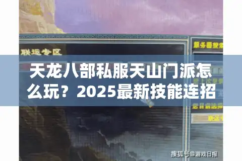 天龙八部私服天山门派怎么玩？2025最新技能连招攻略揭秘