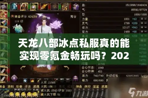 天龙八部冰点私服真的能实现零氪金畅玩吗？2025年私服避坑指南