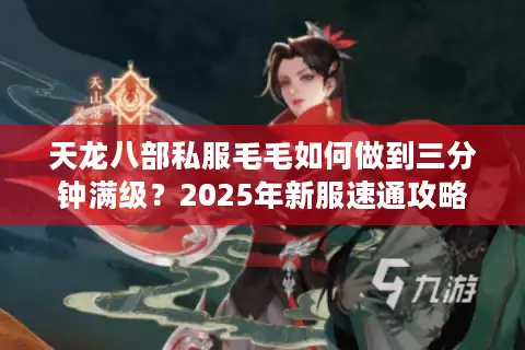 天龙八部私服毛毛如何做到三分钟满级？2025年新服速通攻略