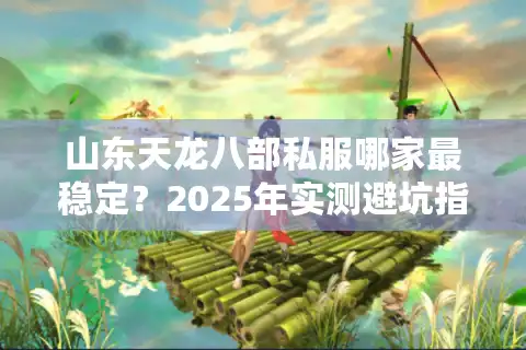 山东天龙八部私服哪家最稳定？2025年实测避坑指南