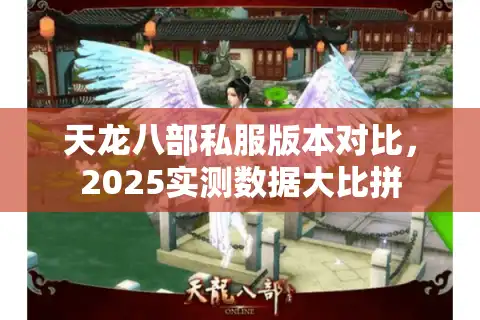 天龙八部私服版本对比，2025实测数据大比拼