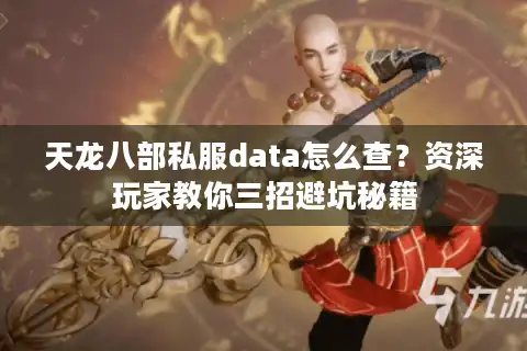 天龙八部私服data怎么查？资深玩家教你三招避坑秘籍