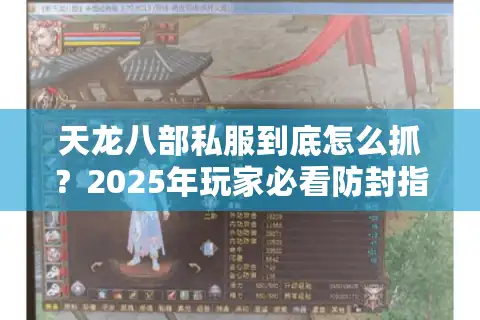 天龙八部私服到底怎么抓？2025年玩家必看防封指南