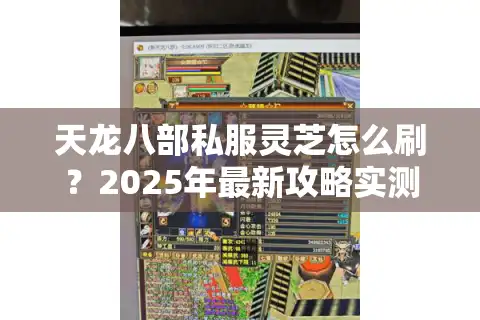 天龙八部私服灵芝怎么刷？2025年最新攻略实测有效