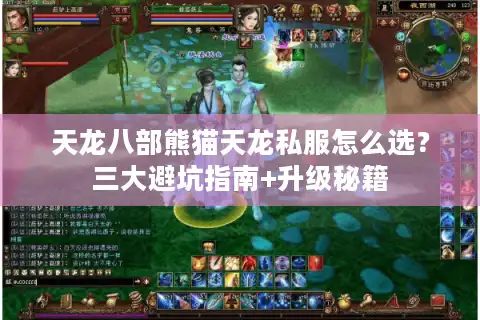 天龙八部熊猫天龙私服怎么选？三大避坑指南+升级秘籍