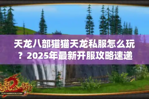 天龙八部猫猫天龙私服怎么玩？2025年最新开服攻略速递