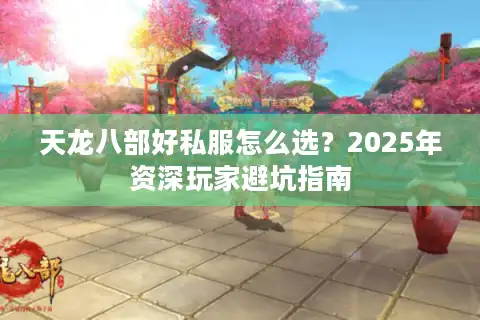 天龙八部好私服怎么选？2025年资深玩家避坑指南