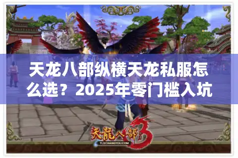 天龙八部纵横天龙私服怎么选？2025年零门槛入坑攻略