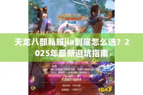 天龙八部私服jia到底怎么选？2025年最新避坑指南