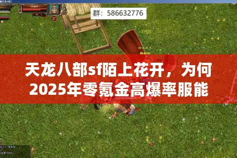 天龙八部sf陌上花开，为何2025年零氪金高爆率服能突破传统框架？