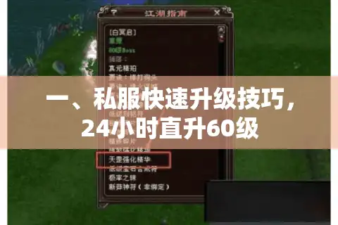 一、私服快速升级技巧，24小时直升60级