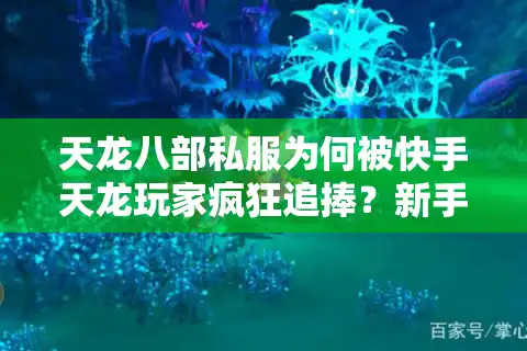 天龙八部私服为何被快手天龙玩家疯狂追捧？新手必看避坑攻略
