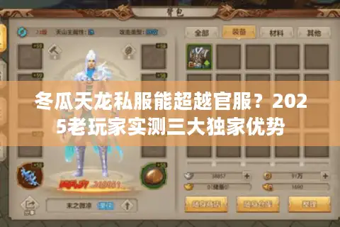 冬瓜天龙私服能超越官服？2025老玩家实测三大独家优势