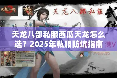 天龙八部私服西瓜天龙怎么选？2025年私服防坑指南