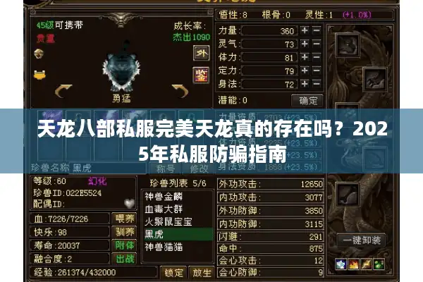 天龙八部私服完美天龙真的存在吗？2025年私服防骗指南