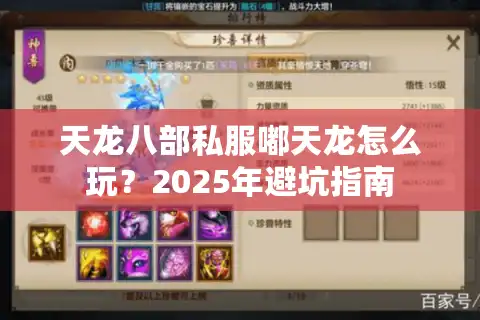 天龙八部私服嘟天龙怎么玩？2025年避坑指南