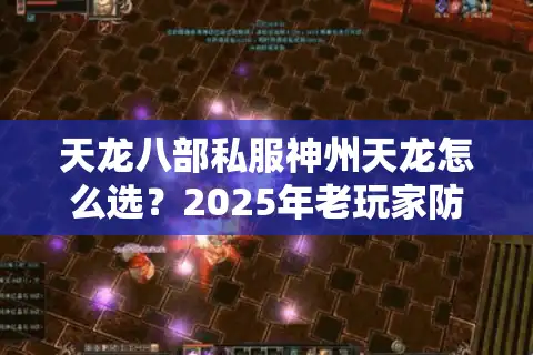天龙八部私服神州天龙怎么选？2025年老玩家防坑指南