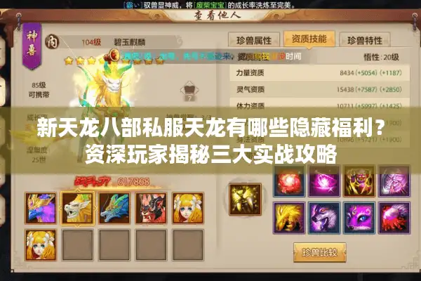 新天龙八部私服天龙有哪些隐藏福利？资深玩家揭秘三大实战攻略