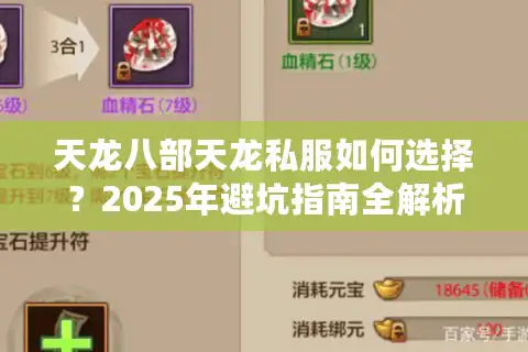 天龙八部天龙私服如何选择？2025年避坑指南全解析