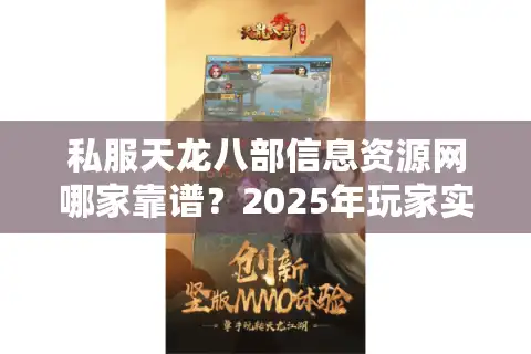 私服天龙八部信息资源网哪家靠谱？2025年玩家实测指南