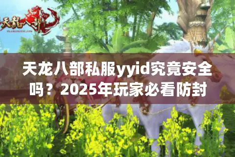 天龙八部私服yyid究竟安全吗？2025年玩家必看防封号指南