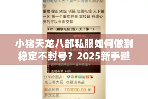 小猪天龙八部私服如何做到稳定不封号？2025新手避坑指南