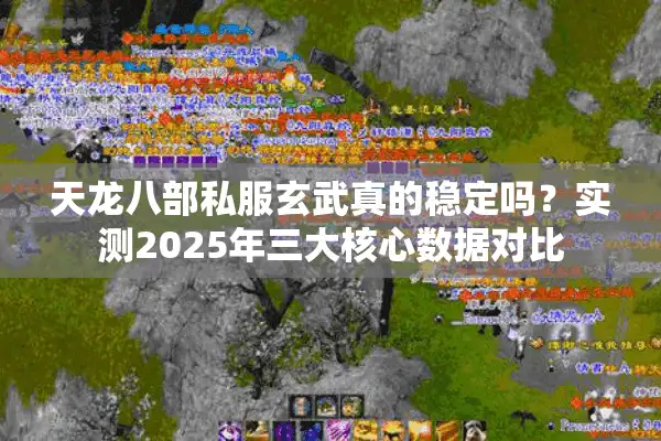 天龙八部私服玄武真的稳定吗？实测2025年三大核心数据对比