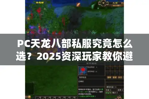 PC天龙八部私服究竟怎么选？2025资深玩家教你避坑指南