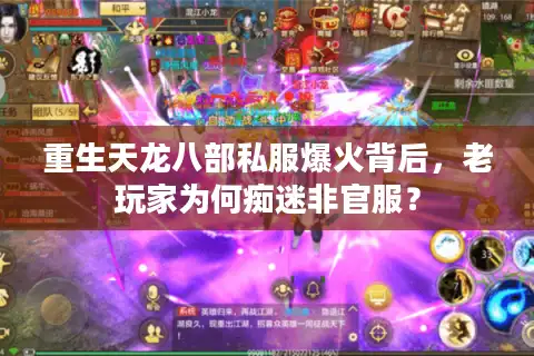 重生天龙八部私服爆火背后，老玩家为何痴迷非官服？